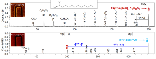 Tandem mass spectra and small ion maps show FA(12:0) ions and a copper-associated fatty-acid ion from patterned structures.