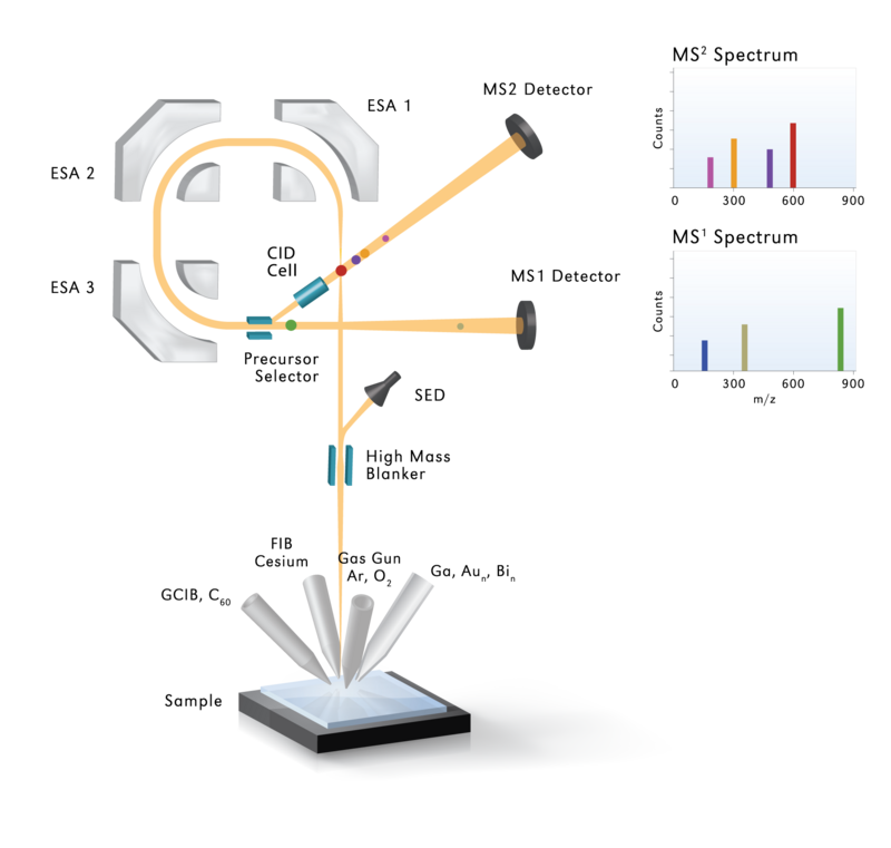 Superiro Thrift Analyzer Displayal