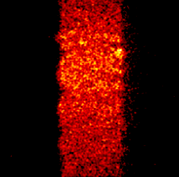 Elemental image for fluroine