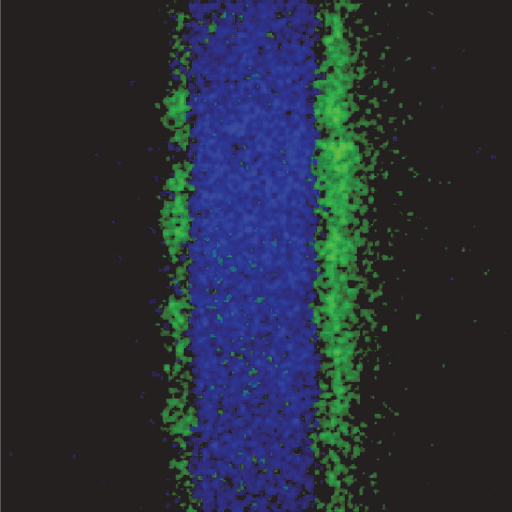 Chemical state image