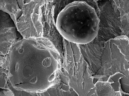 Figure A: SE image Secondary Electron Image