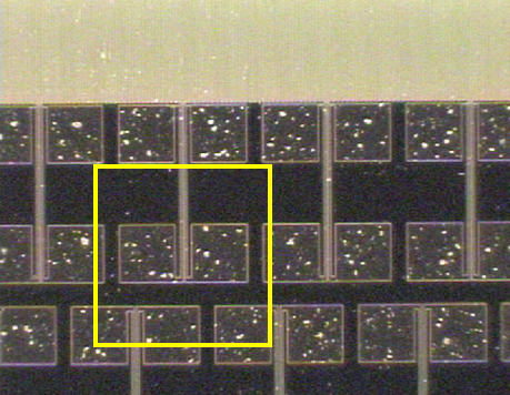 Optical image of patterned metallization structure showing the SXI imaged area. Opitcal image of patterned metallization structure